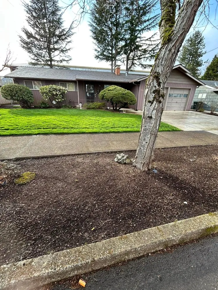 Reliable yard cleanup service for outdoor upgrades in Salem, OR by Green Gardens Landscape