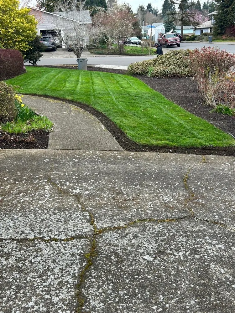 Reliable lawn care service for outdoor upgrades across Salem, OR - Green Gardens Landscape