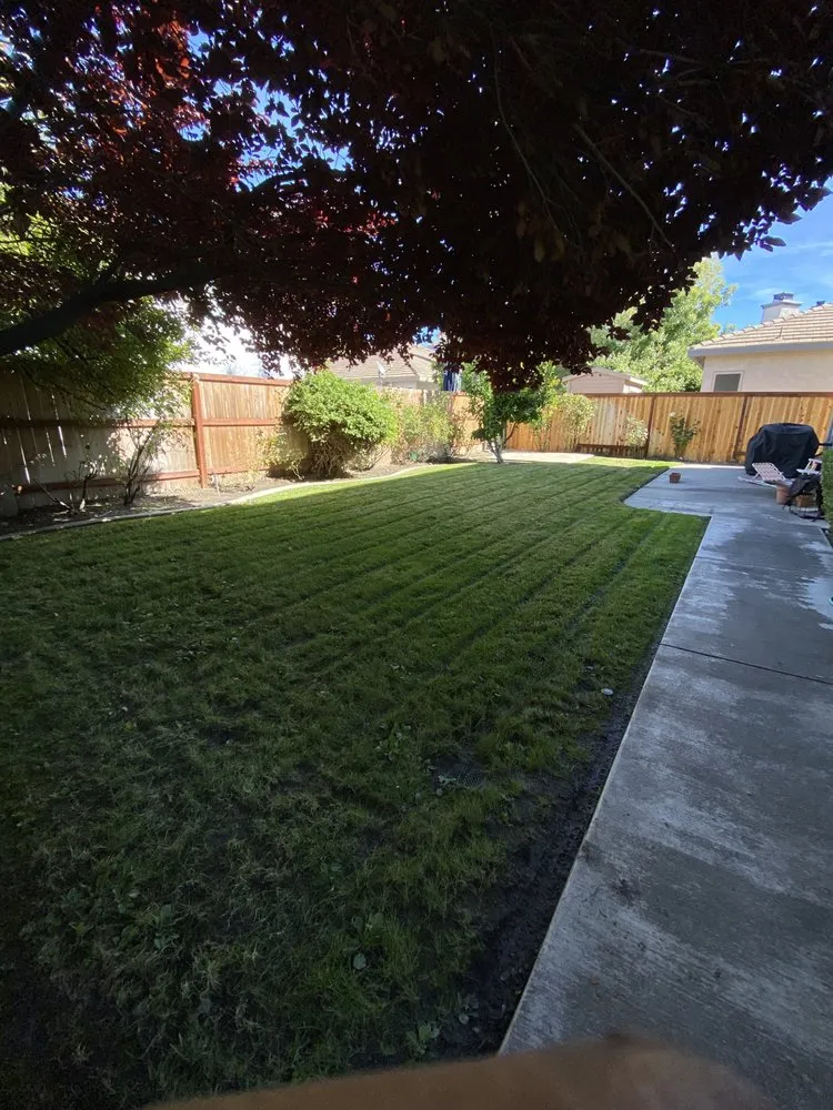 Affordable landscape installation experts serving Sacramento, CA - Green Gardens Landscaping
