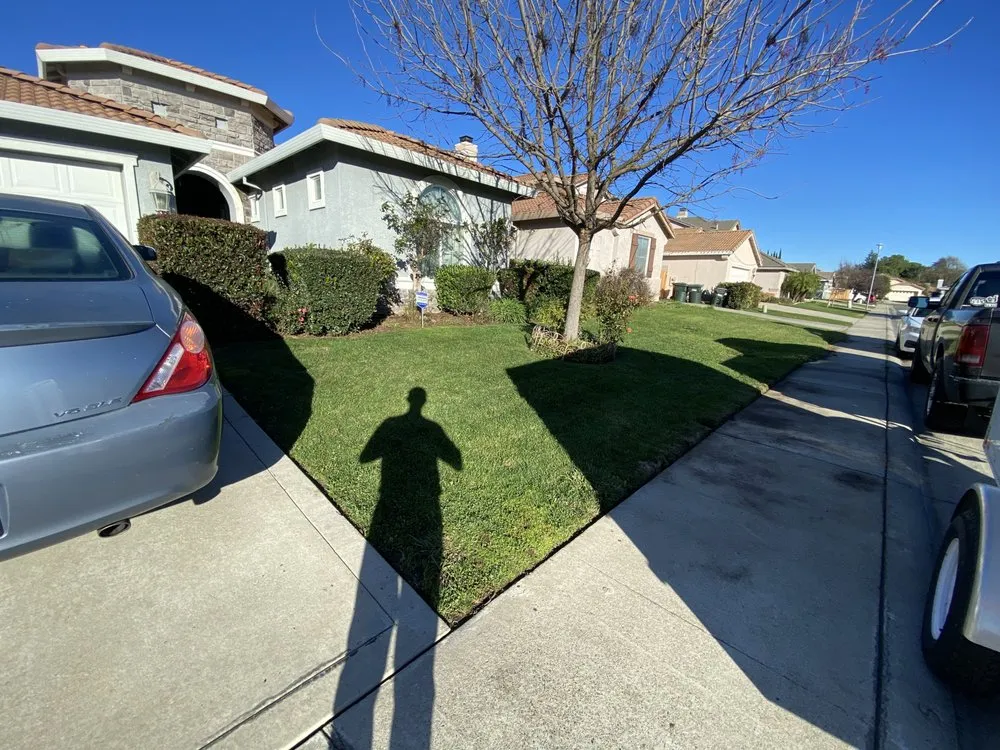 Expert yard cleanup service in Sacramento, CA - Green Gardens Landscaping