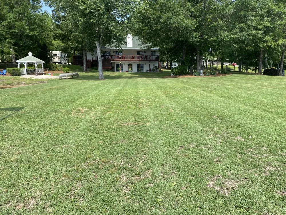 Top-rated yard cleanup service for year-round maintenance across Eatonton, GA - Green Gardens Lawn Service