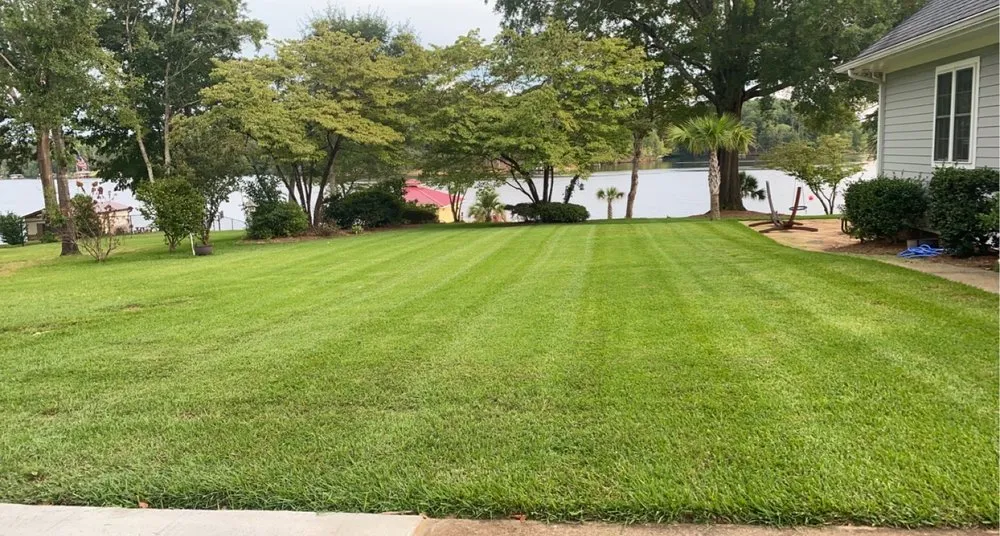 Trusted yard cleanup service experts serving Eatonton, GA - Green Gardens Lawn Service