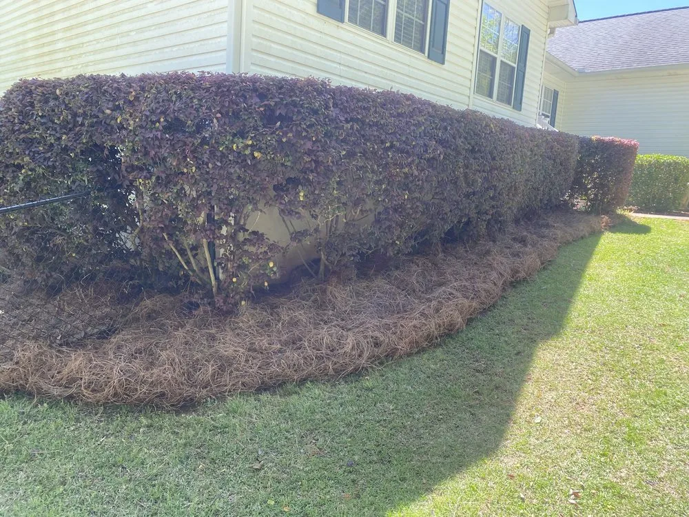 Reliable yard cleanup service in Eatonton, GA by Green Gardens Lawn Service