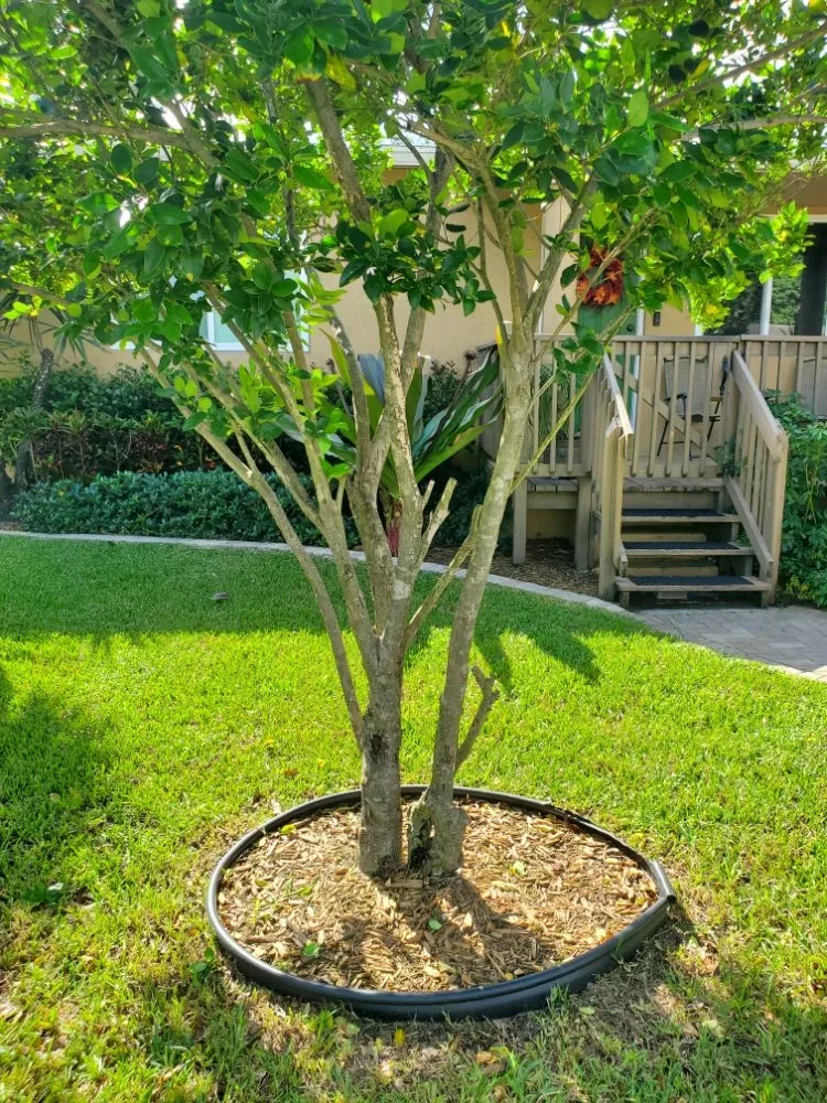 Expert landscape installation experts serving Miami Gardens, FL - Green Gardens