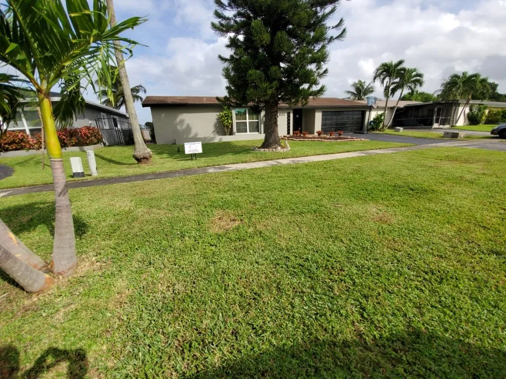 Professional yard cleanup service in Miami Gardens, FL - Green Gardens