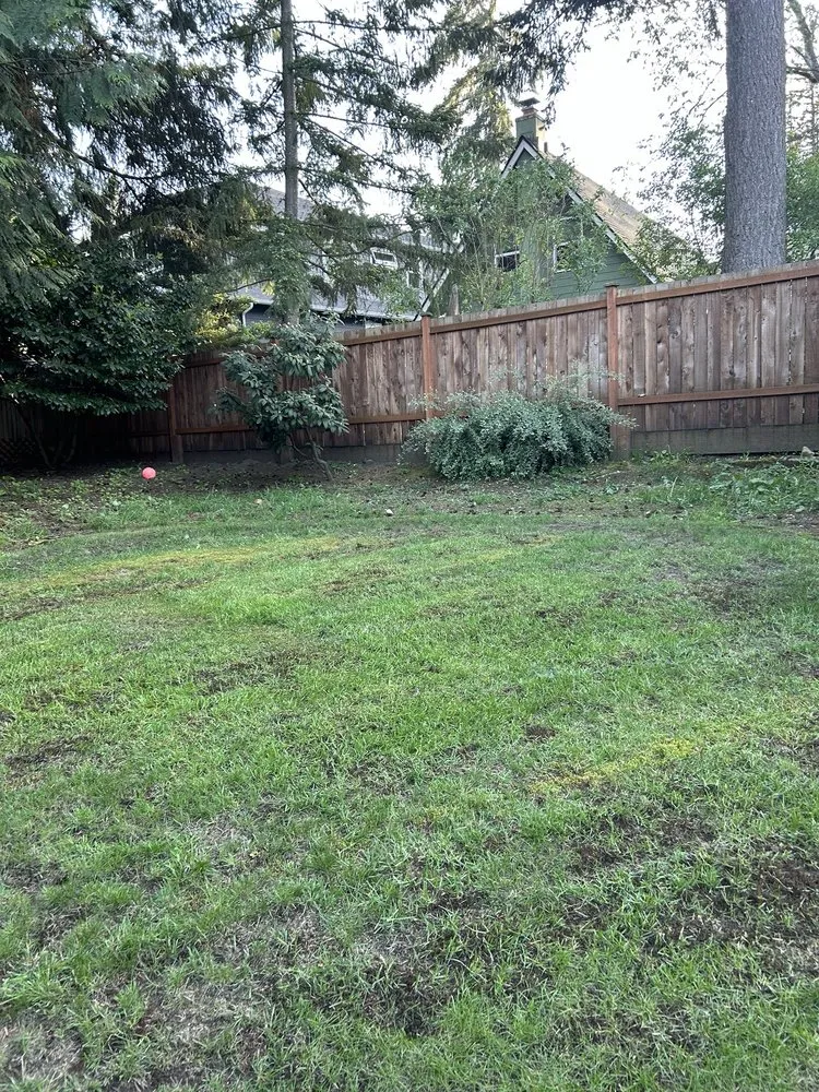 Affordable residential landscaping for year-round maintenance across Kirkland, WA - Green Gardens Services