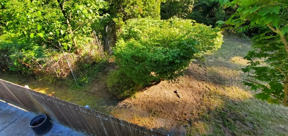 Professional landscape design for homes in Kirkland, WA by Green Gardens Services