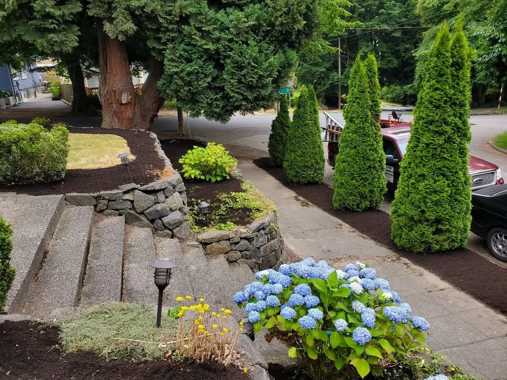 Affordable landscape design experts serving Kirkland, WA - Green Gardens Services