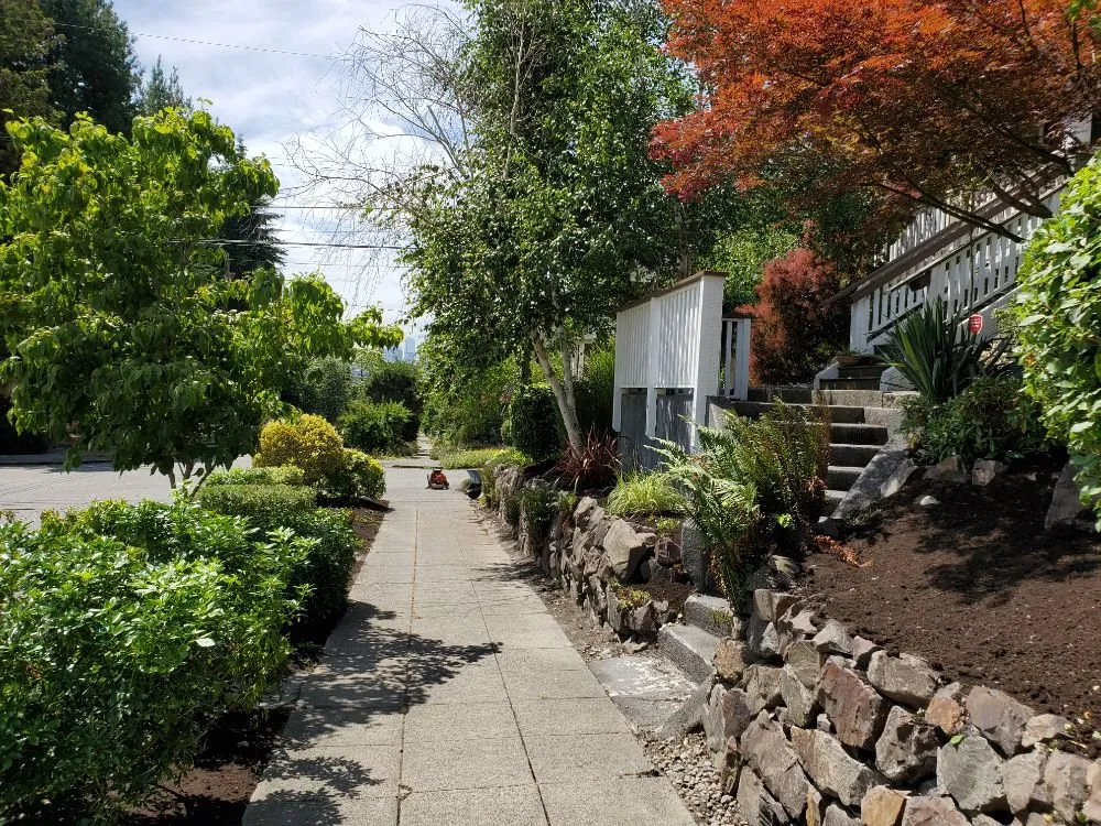 Affordable yard maintenance in Kirkland, WA by Green Gardens Services