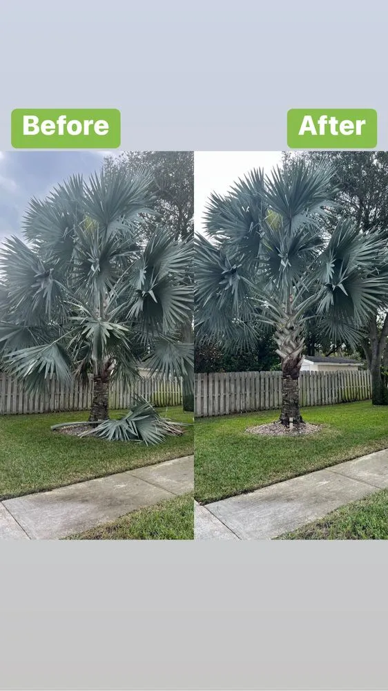 Trusted garden landscaping for residential properties in Port Saint Lucie, FL by Green Gean Lawn Care and Services