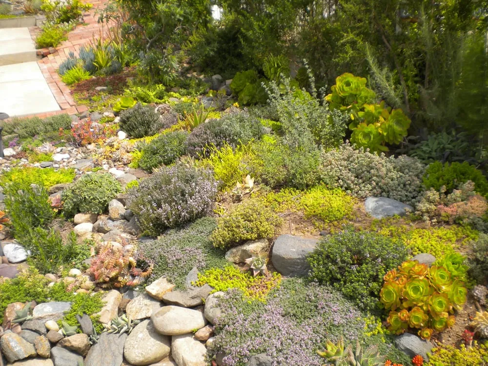 Trusted residential landscaping for outdoor upgrades across Laguna Beach, CA - Green Gene