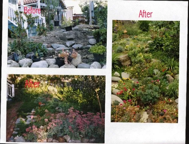 Custom landscaping services in Laguna Beach, CA by Green Gene