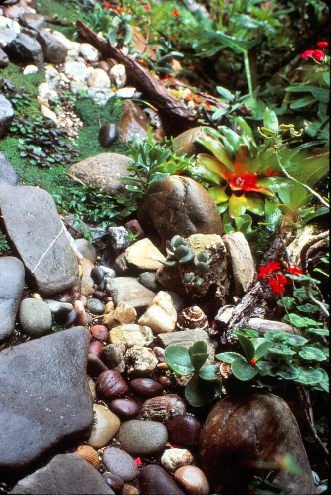 Trusted lawn care service experts serving Laguna Beach, CA - Green Gene