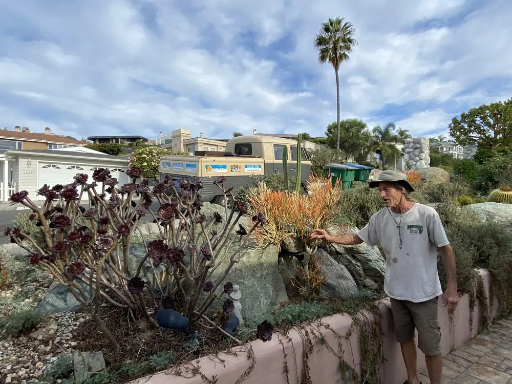 Trusted lawn care service for beautiful yards across Laguna Beach, CA - Green Gene