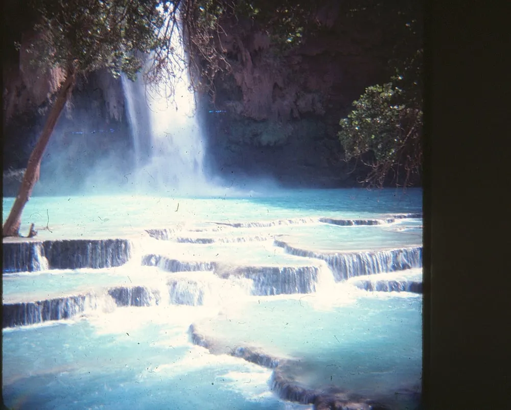 Custom landscape design for residential properties across Laguna Beach, CA - Green Gene