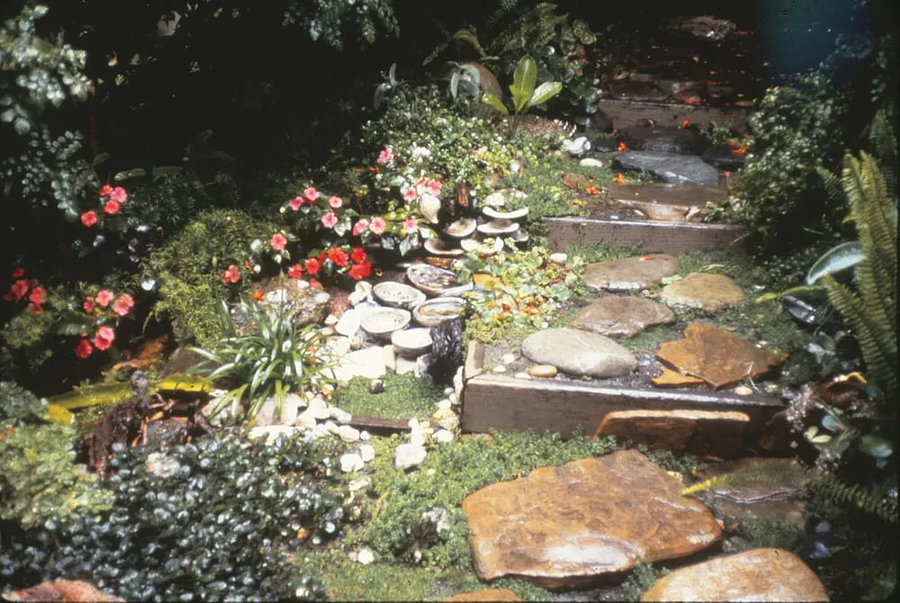 Custom landscape installation in Laguna Beach, CA - Green Gene