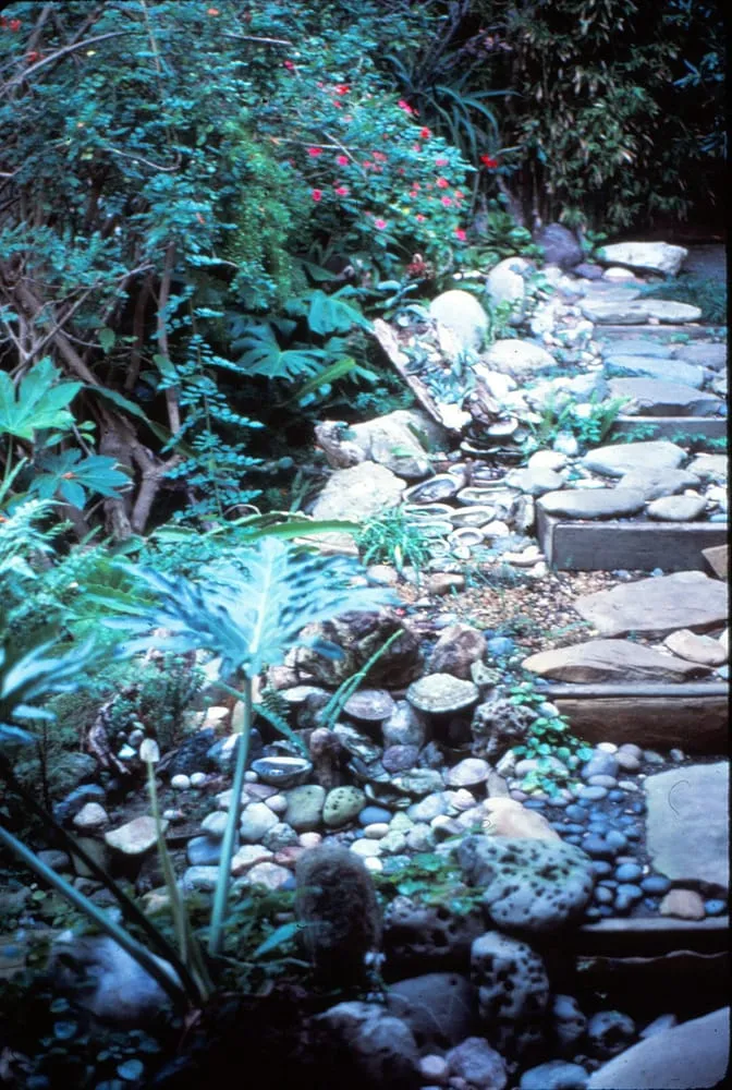 Local landscape design in Laguna Beach, CA by Green Gene