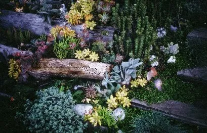 Top-rated landscape design with custom design in Laguna Beach, CA by Green Gene