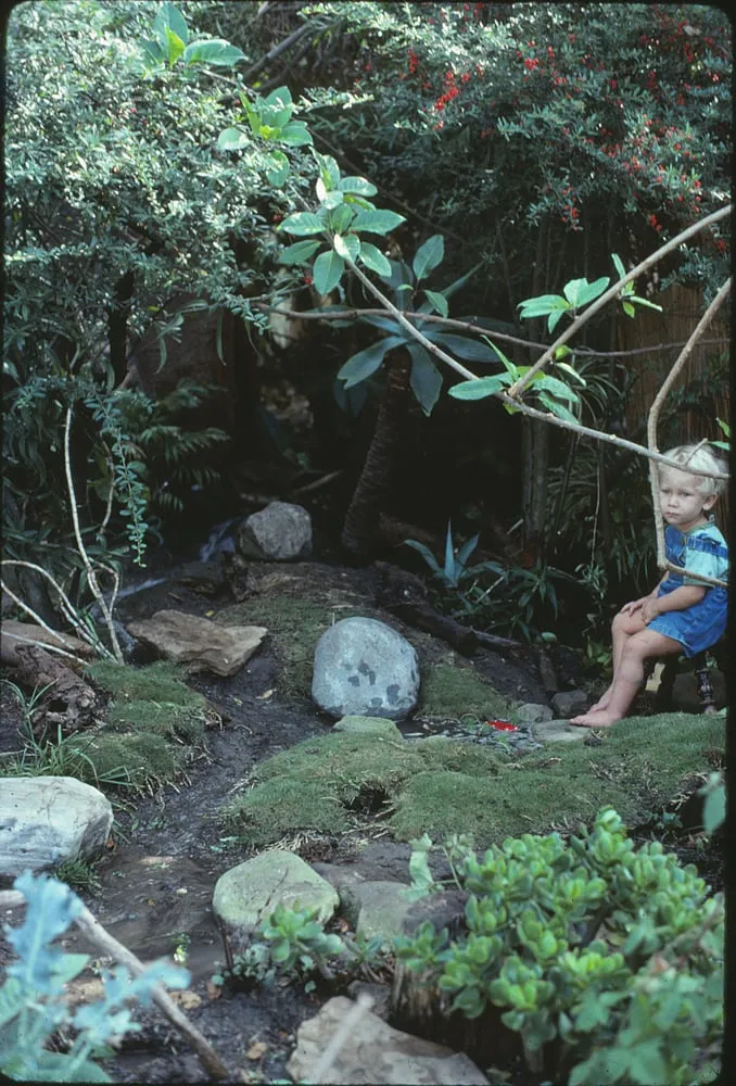 Trusted landscaping services experts serving Laguna Beach, CA - Green Gene