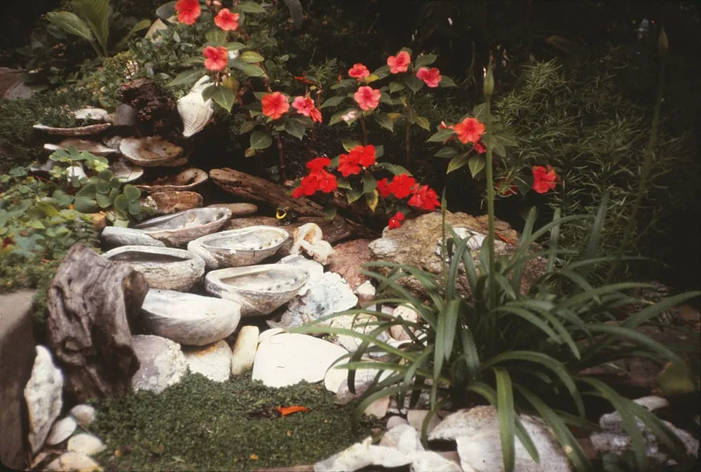 Affordable yard maintenance for residential properties in Laguna Beach, CA by Green Gene