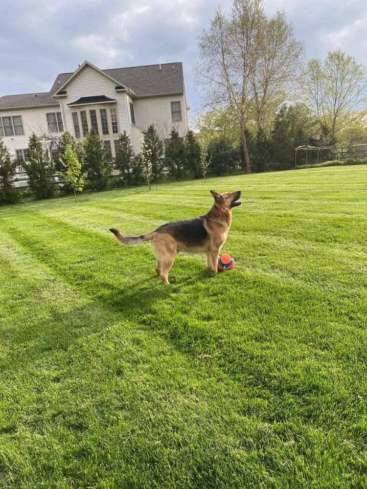 Trusted residential landscaping for year-round maintenance across Silver Spring, MD - Green Generation Landscaping & Design