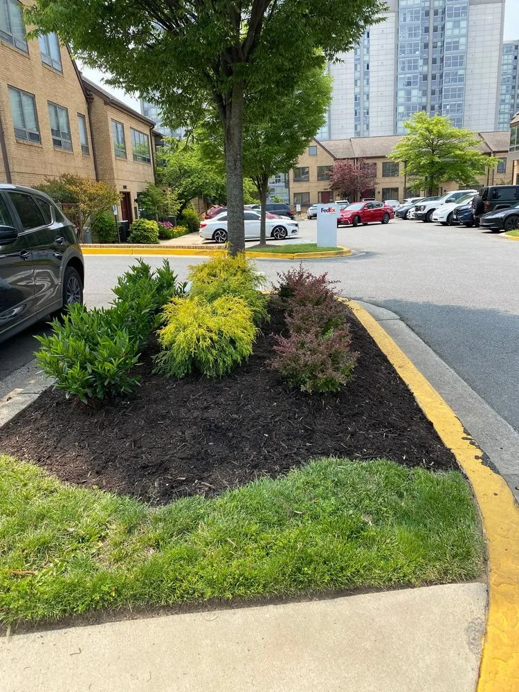 Top-rated outdoor landscaping in Silver Spring, MD by Green Generation Landscaping & Design
