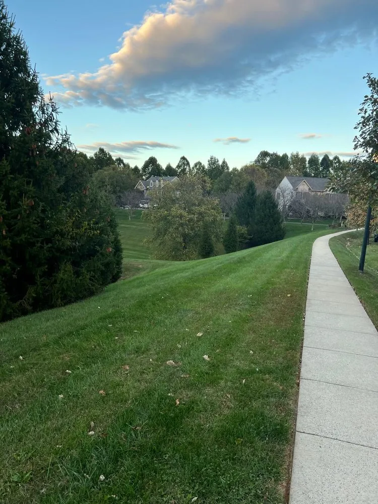 Professional garden landscaping with custom design across Silver Spring, MD - Green Generation Landscaping & Design