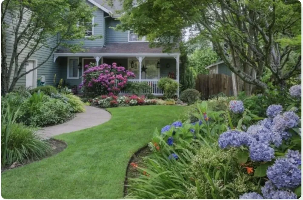 Affordable landscape installation in University Place, WA - Green Genesis