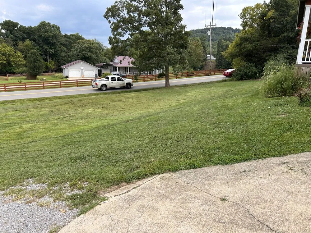Custom yard cleanup service for residential properties across Paint Lick, KY - Green Genetics