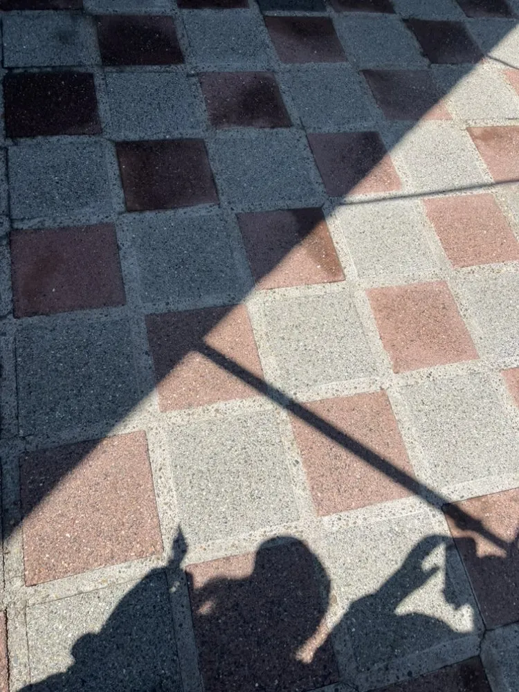 Local landscape installation in Salem, OR - Green Genie Landscape