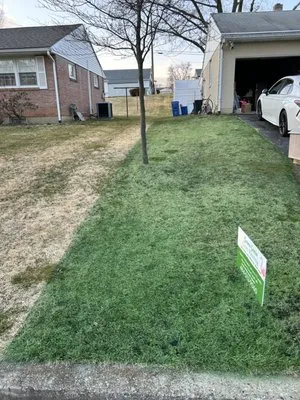 Green Genie Lawn Painting Logo