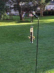 Professional landscape design in Fleetwood, PA by Green Giant Home & Commercial