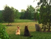 Local outdoor landscaping with custom design across Fleetwood, PA - Green Giant Home & Commercial