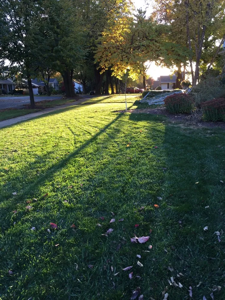 Affordable lawn mowing service in Fleetwood, PA by Green Giant Home & Commercial