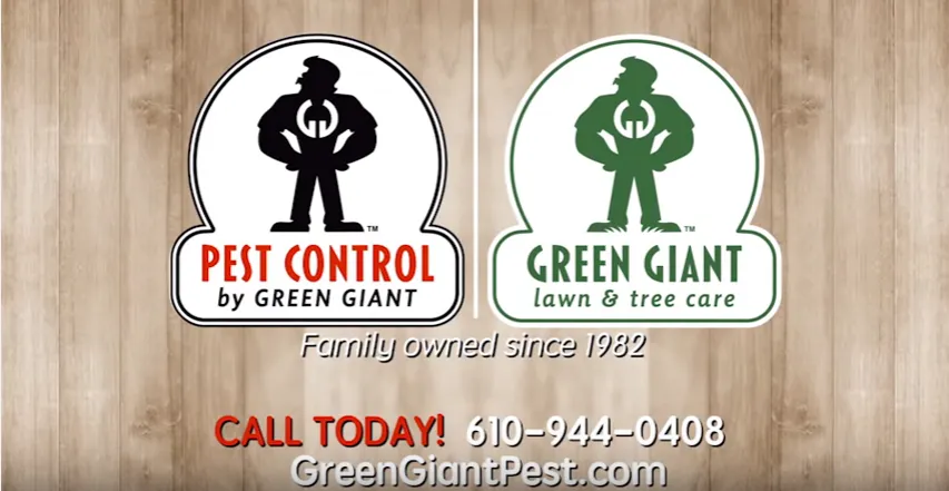 Affordable landscape design in Fleetwood, PA - Green Giant Home & Commercial
