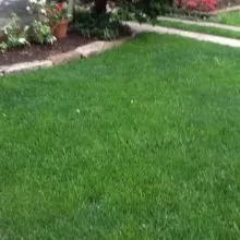 Professional landscaping services experts serving Fleetwood, PA - Green Giant Home & Commercial