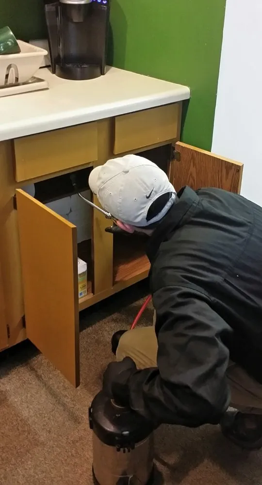 Custom yard maintenance in Fleetwood, PA by Green Giant Home & Commercial