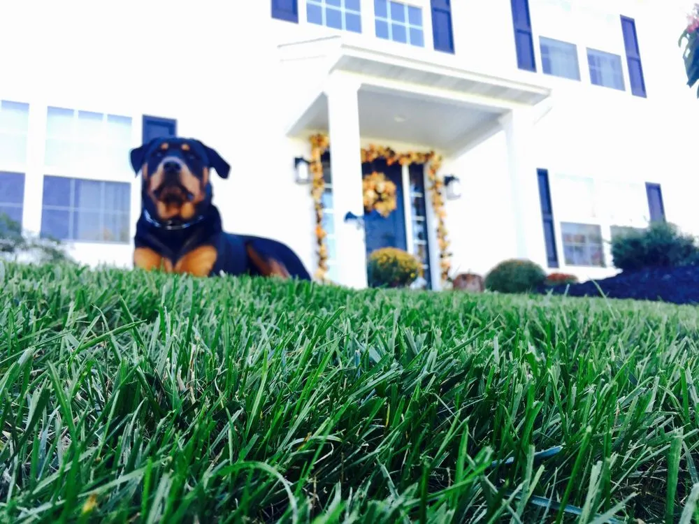 Affordable lawn care service for residential properties in Fleetwood, PA by Green Giant Home & Commercial