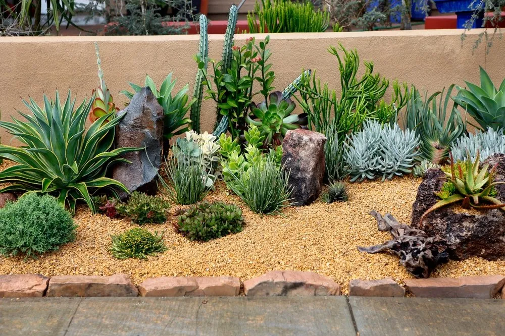 Expert yard maintenance in Sonoma, CA - Green Giant Landscape Design