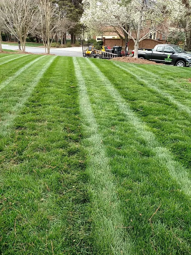Top-rated landscape installation for outdoor upgrades across Concord, NC - Green Giant Lawn Care