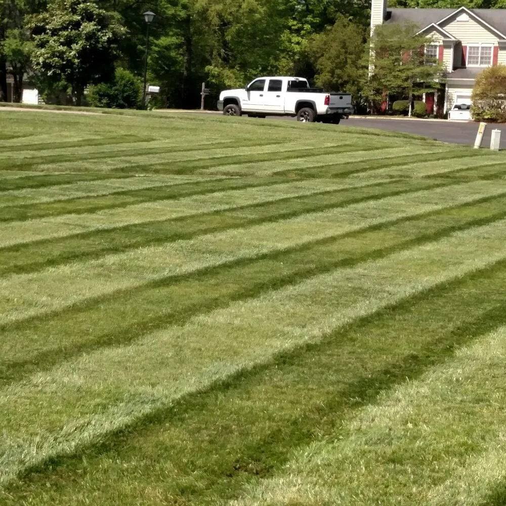 Local landscape installation in Concord, NC by Green Giant Lawn Care