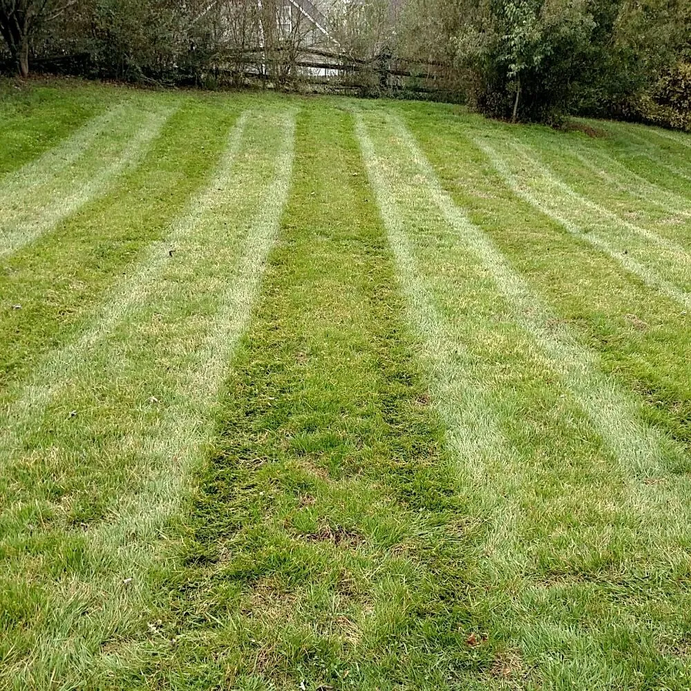 Professional landscaping services in Concord, NC - Green Giant Lawn Care