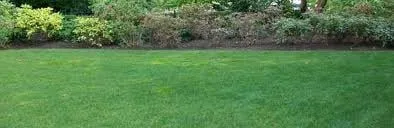 Green Giant Lawn Care Logo