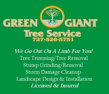 Expert lawn mowing service in Saint Petersburg, FL - Green Giant Tree Service