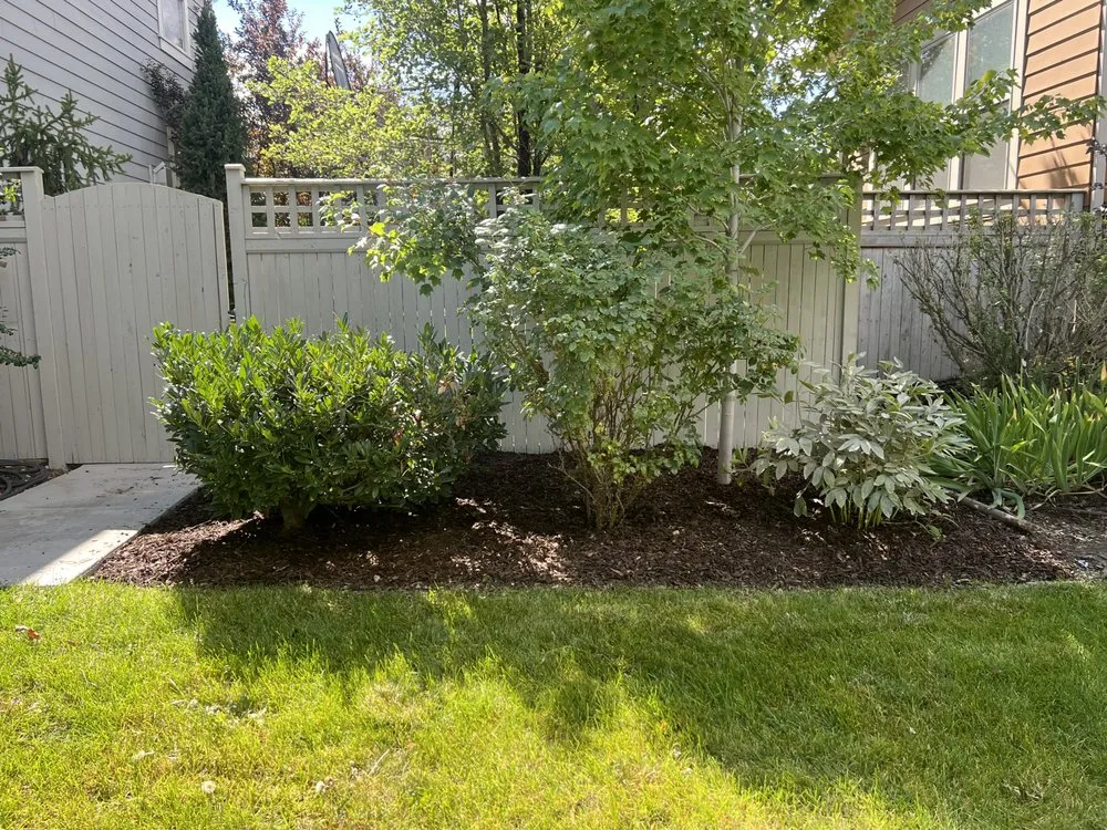 Trusted lawn care service for outdoor upgrades across Millcreek, UT - Green Girls Landscaping