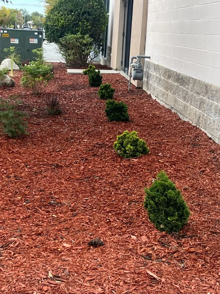 Reliable landscape design for homes across Millcreek, UT - Green Girls Landscaping