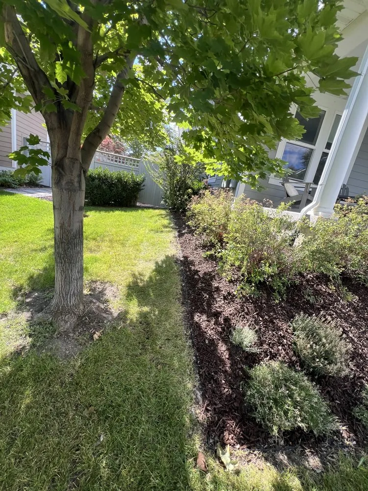 Expert residential landscaping for outdoor upgrades across Millcreek, UT - Green Girls Landscaping