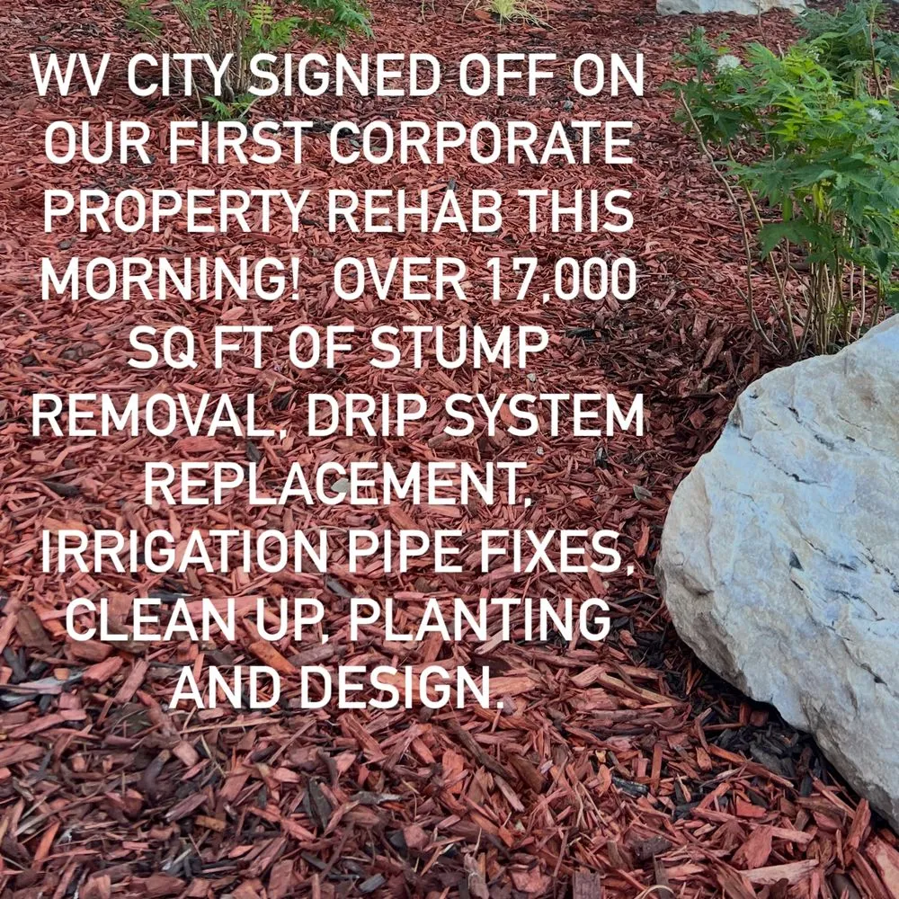 Trusted yard cleanup service in Millcreek, UT - Green Girls Landscaping