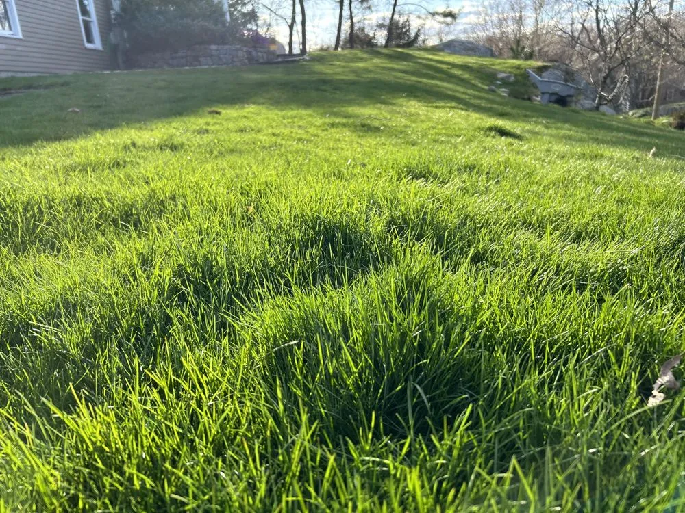 Reliable landscape installation in Hingham, MA by Green Gleam Lawn Care