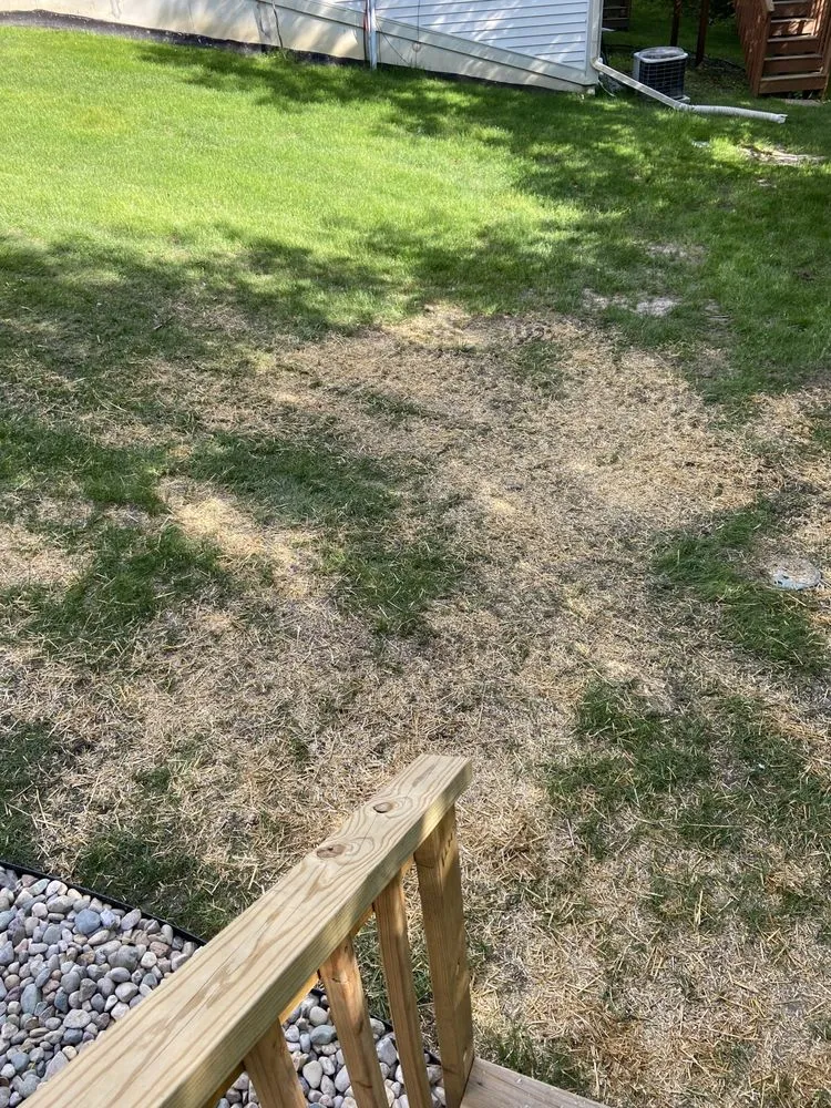 Professional yard maintenance near you in Grand Blanc, MI by Green Glove Landscaping